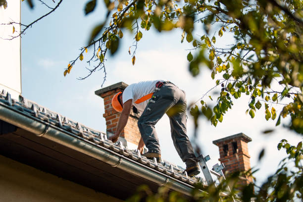 Best Storm Damage Roof Repair  in Kendall Park, NJ